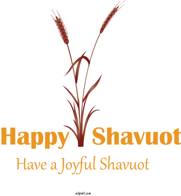 Free Holidays Text Grass Family Plant For Shavuot Clipart Transparent Background