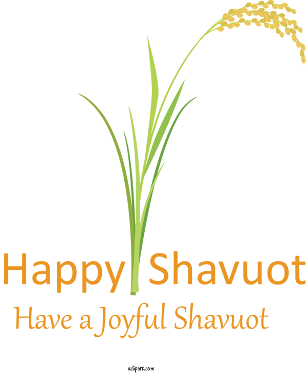 Free Holidays Text Plant Grass For Shavuot Clipart Transparent Background