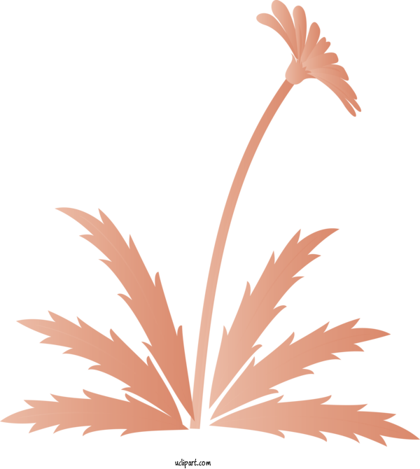 Free Flowers Leaf Tree Plant For Dandelion Clipart Transparent Background