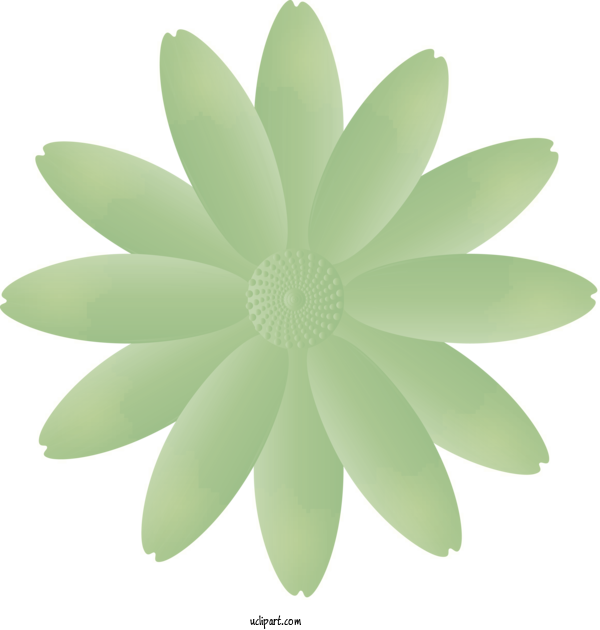 Free Flowers Green Petal Leaf For Marguerite Clipart Transparent Background