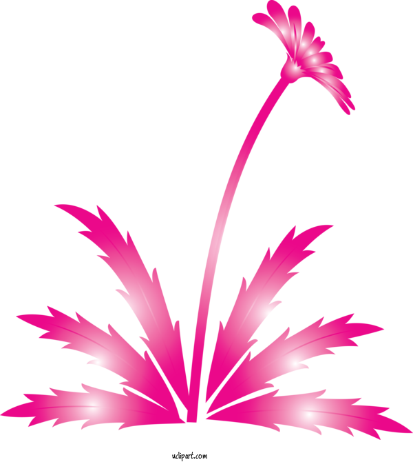 Free Flowers Leaf Pink Plant For Dandelion Clipart Transparent Background