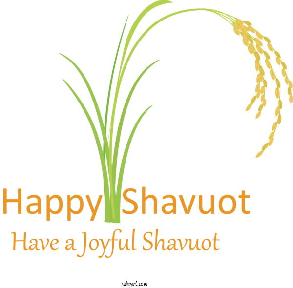 Free Holidays Text Plant Grass Family For Shavuot Clipart Transparent Background