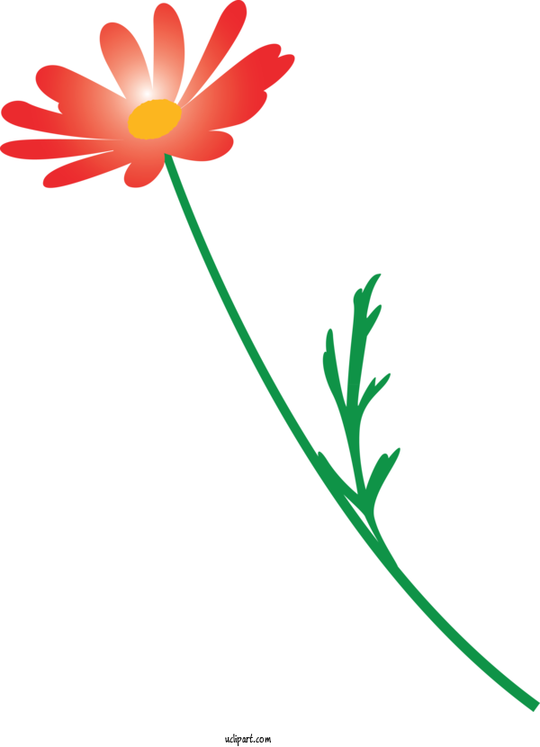 Free Flowers Pedicel Chamomile Flower For Marguerite Clipart Transparent Background