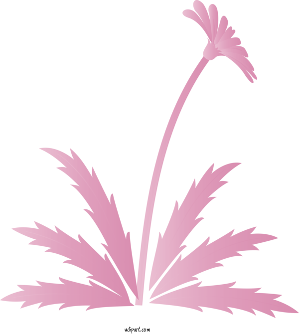 Free Flowers Leaf Plant Pink For Dandelion Clipart Transparent Background