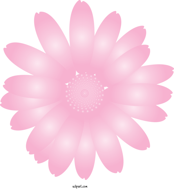 Free Flowers Pink Petal Gerbera For Marguerite Clipart Transparent Background