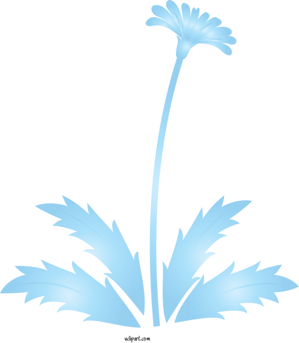 Free Flowers Leaf Plant Flower For Dandelion Clipart Transparent Background