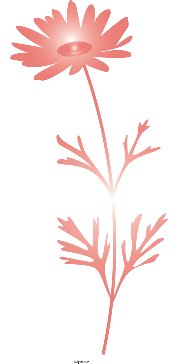 Free Flowers Leaf Pedicel Plant For Marguerite Clipart Transparent Background