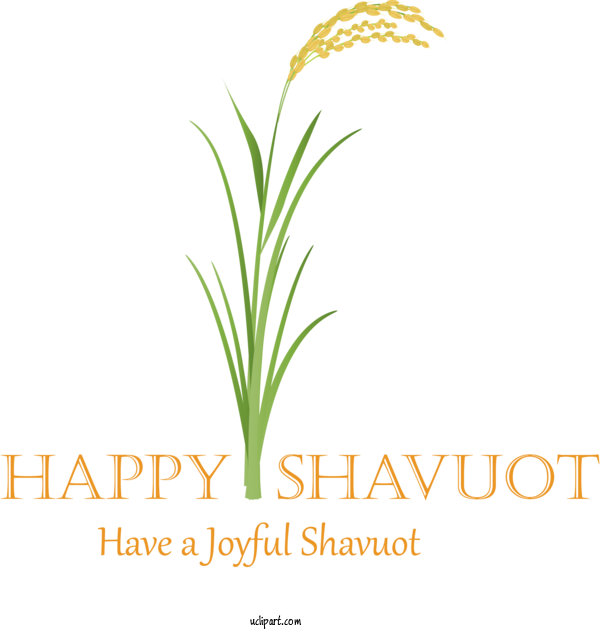 Free Holidays Plant Leaf Grass For Shavuot Clipart Transparent Background