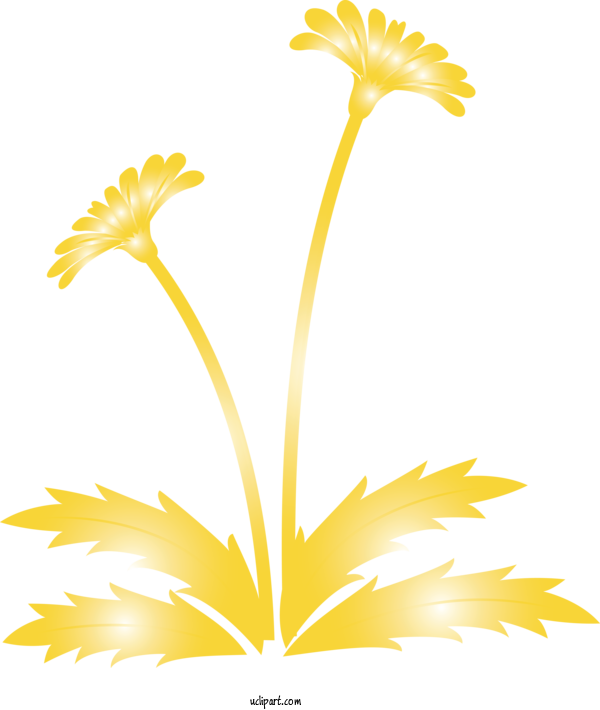 Free Flowers Yellow Flower Plant For Dandelion Clipart Transparent Background