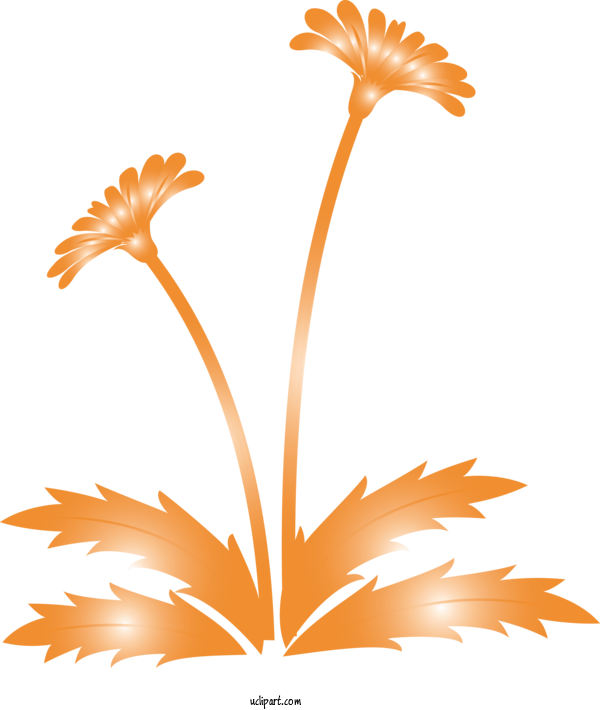 Free Flowers Orange Plant Leaf For Dandelion Clipart Transparent Background