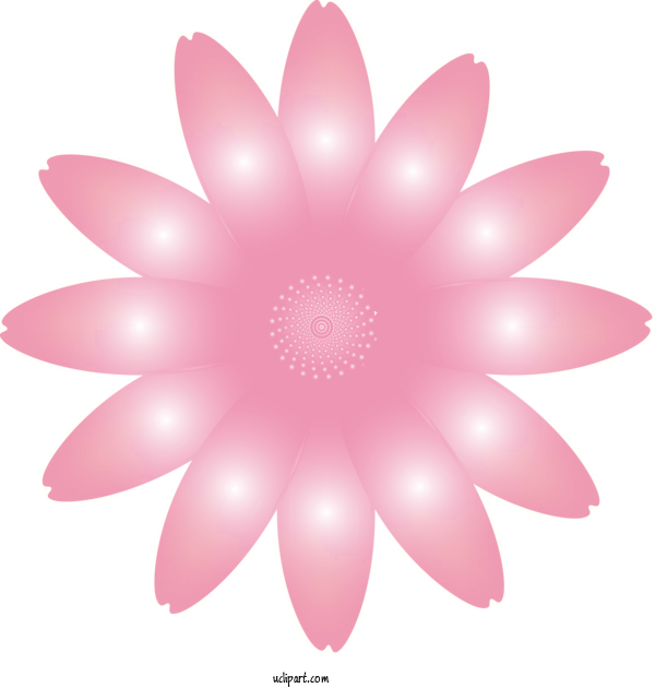 Free Flowers Pink Petal Flower For Marguerite Clipart Transparent Background