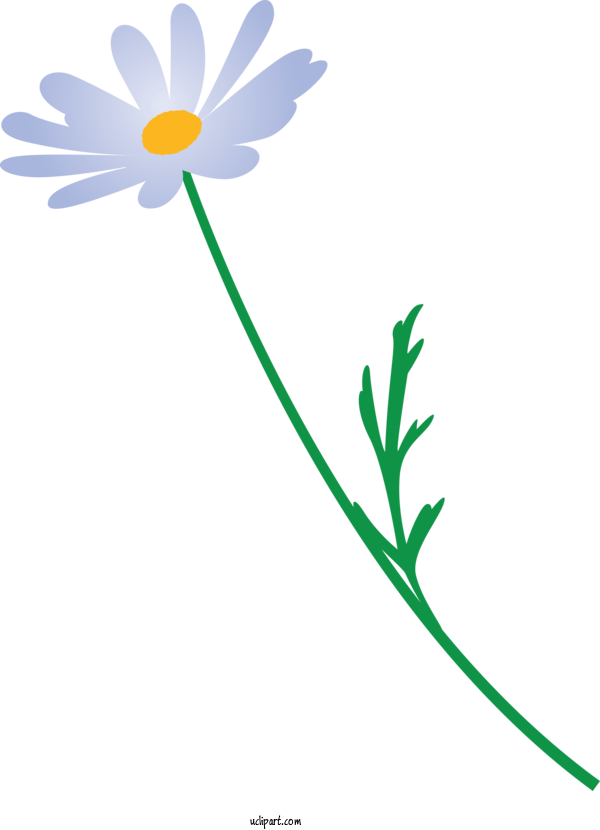 Free Flowers Chamomile Mayweed Camomile For Marguerite Clipart Transparent Background