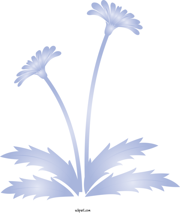 Free Flowers Flower Plant Petal For Dandelion Clipart Transparent Background
