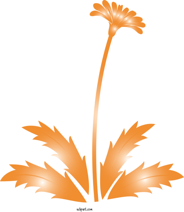 Free Flowers Orange Leaf Plant For Dandelion Clipart Transparent Background