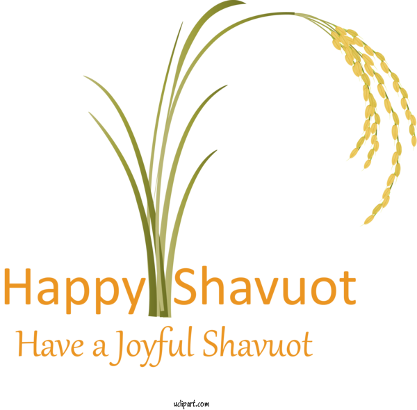 Free Holidays Text Plant Grass Family For Shavuot Clipart Transparent Background