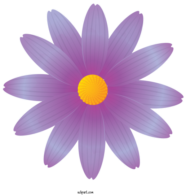 Free Flowers Petal Flower Violet For Marguerite Clipart Transparent Background