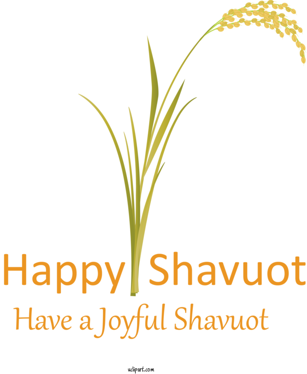 Free Holidays Text Plant Leaf For Shavuot Clipart Transparent Background