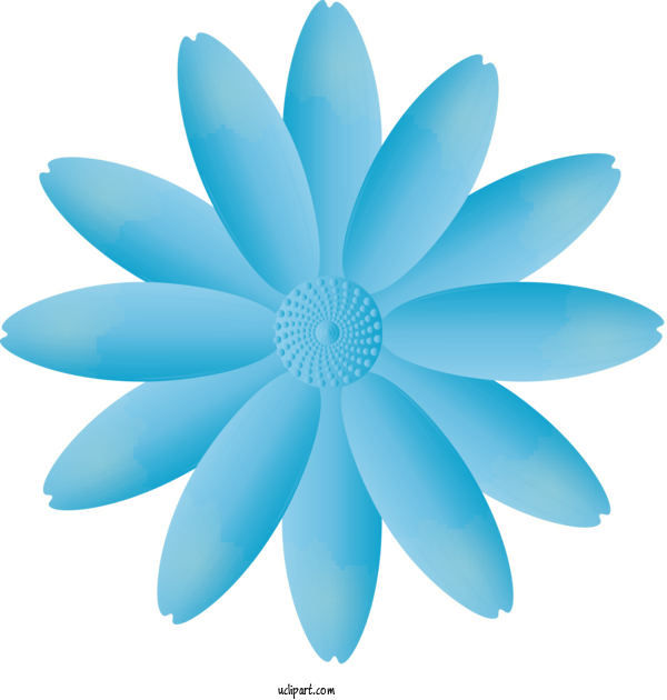 Free Flowers Blue Petal Aqua For Marguerite Clipart Transparent Background