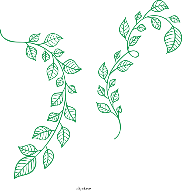 Free Holidays Line Art Leaf Plant For Saint Patricks Day Clipart Transparent Background