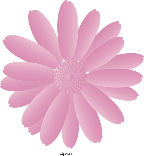 Free Flowers Petal Pink Gerbera For Marguerite Clipart Transparent Background