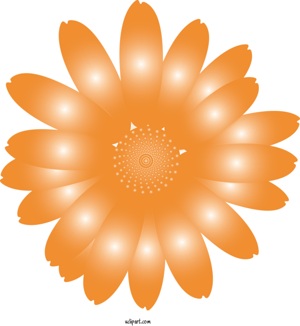Free Flowers Orange Petal Flower For Marguerite Clipart Transparent Background