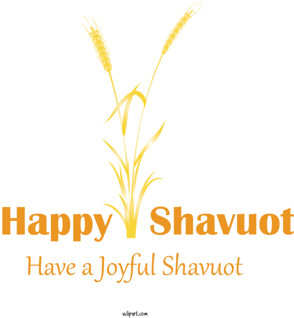 Free Holidays Text Yellow Logo For Shavuot Clipart Transparent Background
