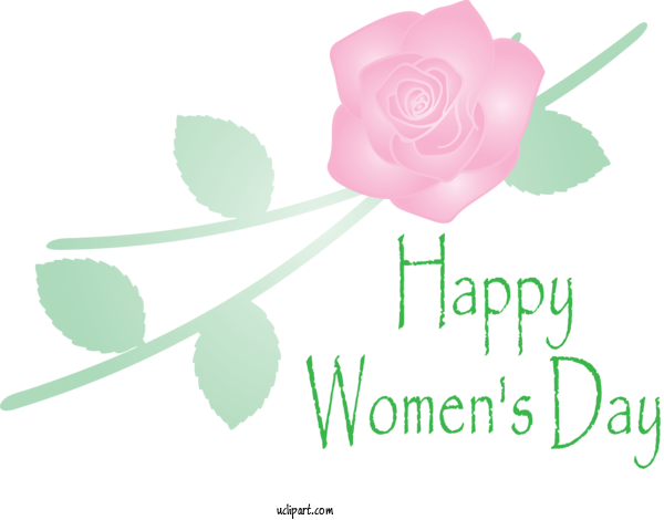 Free Holidays Pink Rose Text For International Women's Day Clipart Transparent Background