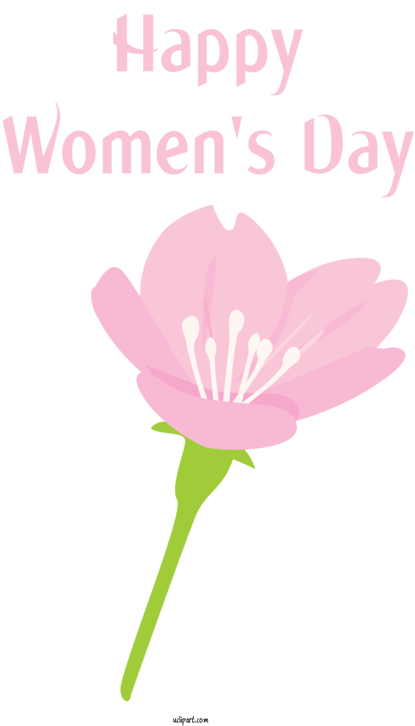 Free Holidays Flower Pink Petal For International Women's Day Clipart Transparent Background