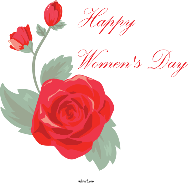 Free Holidays Flower Red Garden Roses For International Women's Day Clipart Transparent Background