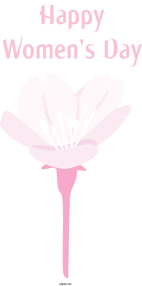 Free Holidays Pink Petal Flower For International Women's Day Clipart Transparent Background