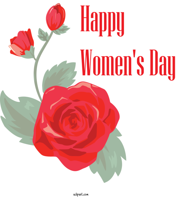 Free Holidays Flower Cut Flowers Red For International Women's Day Clipart Transparent Background