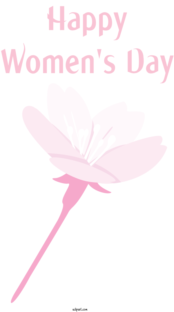 Free Holidays Pink Petal Font For International Women's Day Clipart Transparent Background