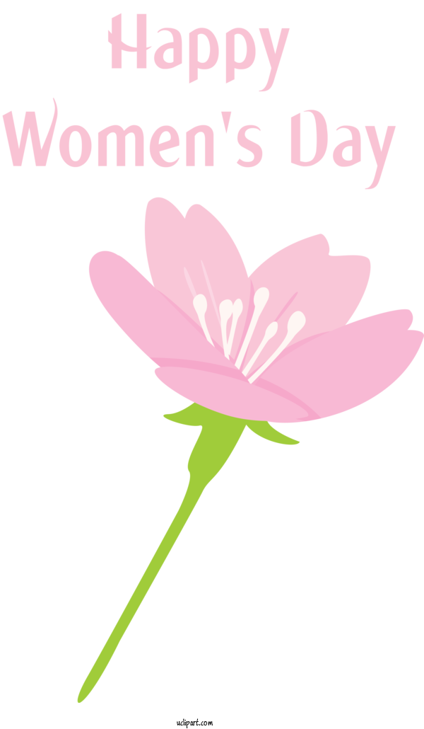 Free Holidays Flower Petal Pink For International Women's Day Clipart Transparent Background