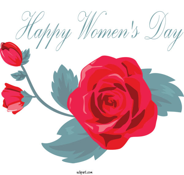 Free Holidays Rose Flower Garden Roses For International Women's Day Clipart Transparent Background