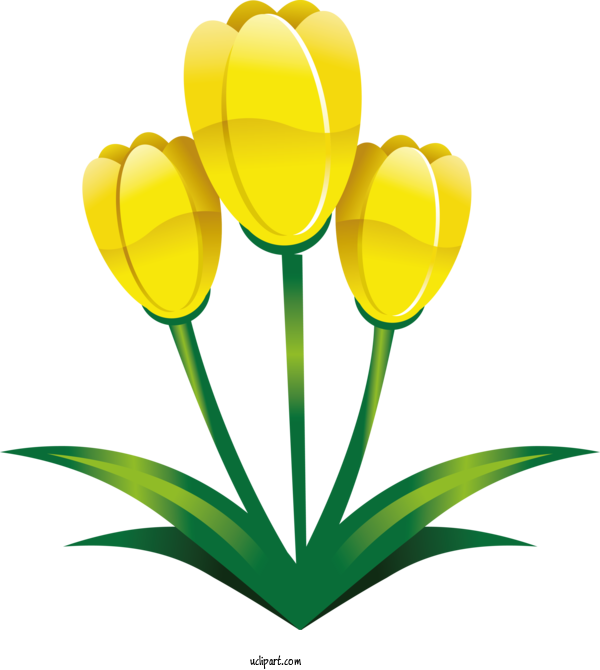 Free Holidays Yellow Flower Tulip For Easter Clipart Transparent Background