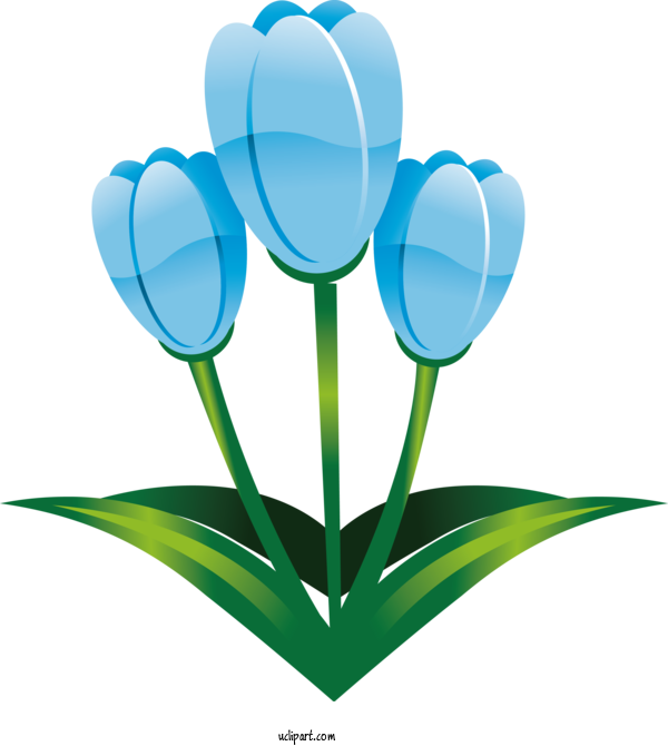Free Holidays Blue Flower Tulip For Easter Clipart Transparent Background