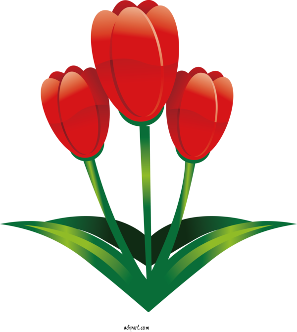 Free Holidays Flower Tulip Red For Easter Clipart Transparent Background