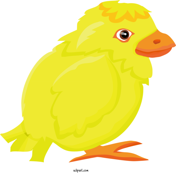 Free Holidays Bird Beak Yellow For Easter Clipart Transparent Background