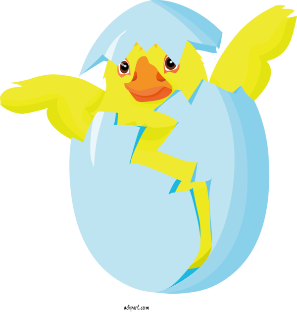 Free Holidays Cartoon Parrot Bird For Easter Clipart Transparent Background