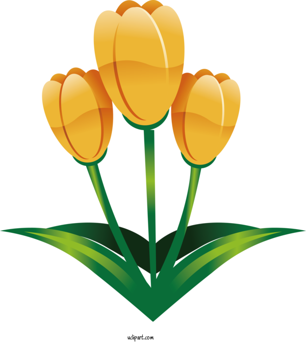 Free Holidays Flower Yellow Tulip For Easter Clipart Transparent Background