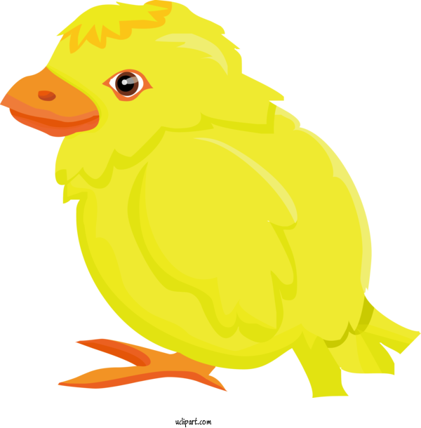 Free Holidays Bird Yellow Cartoon For Easter Clipart Transparent Background