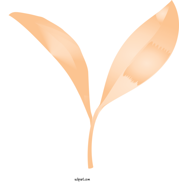 Free Nature Leaf Orange Plant For Leaf Clipart Transparent Background