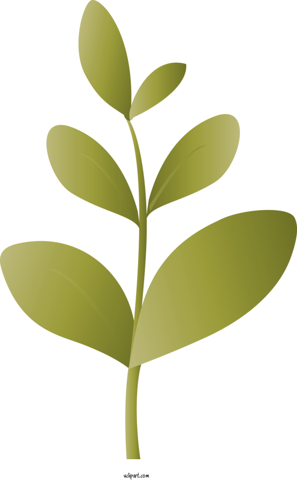 Free Nature Leaf Plant Flower For Leaf Clipart Transparent Background