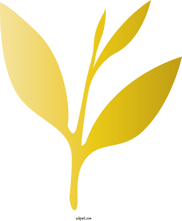 Free Nature Leaf Yellow Plant For Leaf Clipart Transparent Background