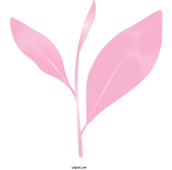 Free Nature Pink Leaf Flower For Leaf Clipart Transparent Background
