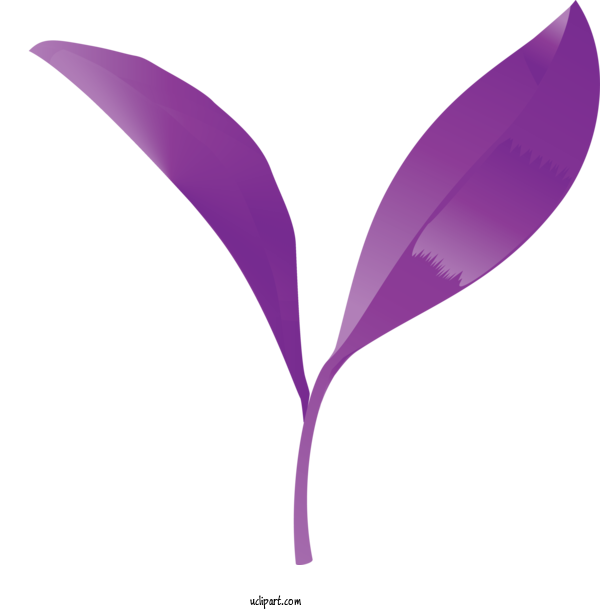 Free Nature Violet Purple Leaf For Leaf Clipart Transparent Background