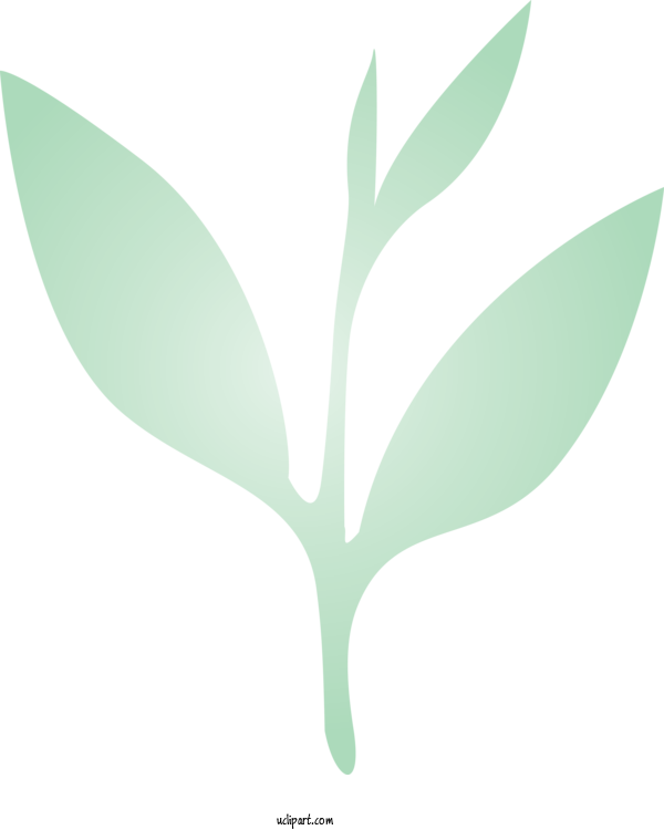 Free Nature Leaf Plant Tree For Leaf Clipart Transparent Background