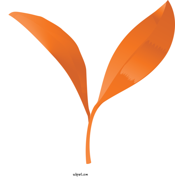 Free Nature Orange Leaf Plant For Leaf Clipart Transparent Background