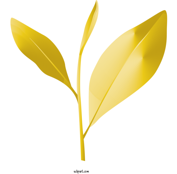 Free Nature Leaf Plant Yellow For Leaf Clipart Transparent Background