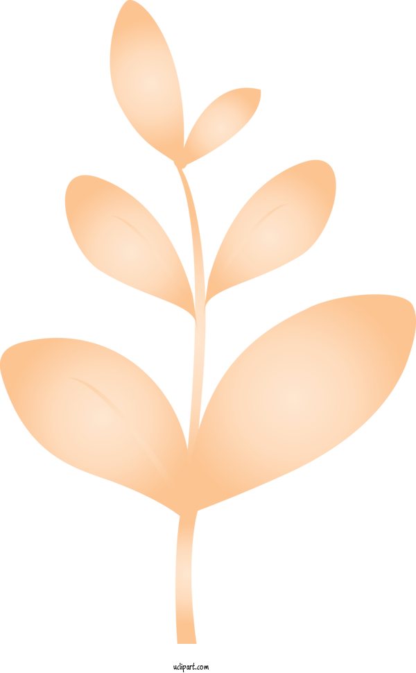 Free Nature Leaf Orange Plant For Leaf Clipart Transparent Background